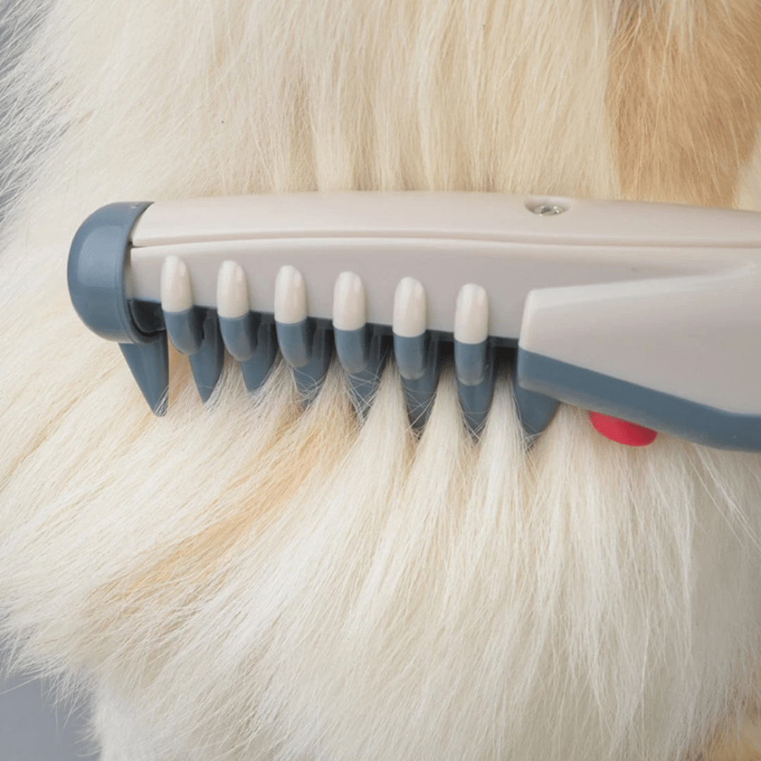 Tondeuse Douce pour Animaux pour Tous les Types de Pelage