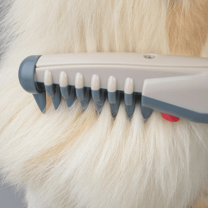 Tondeuse Douce pour Animaux pour Tous les Types de Pelage