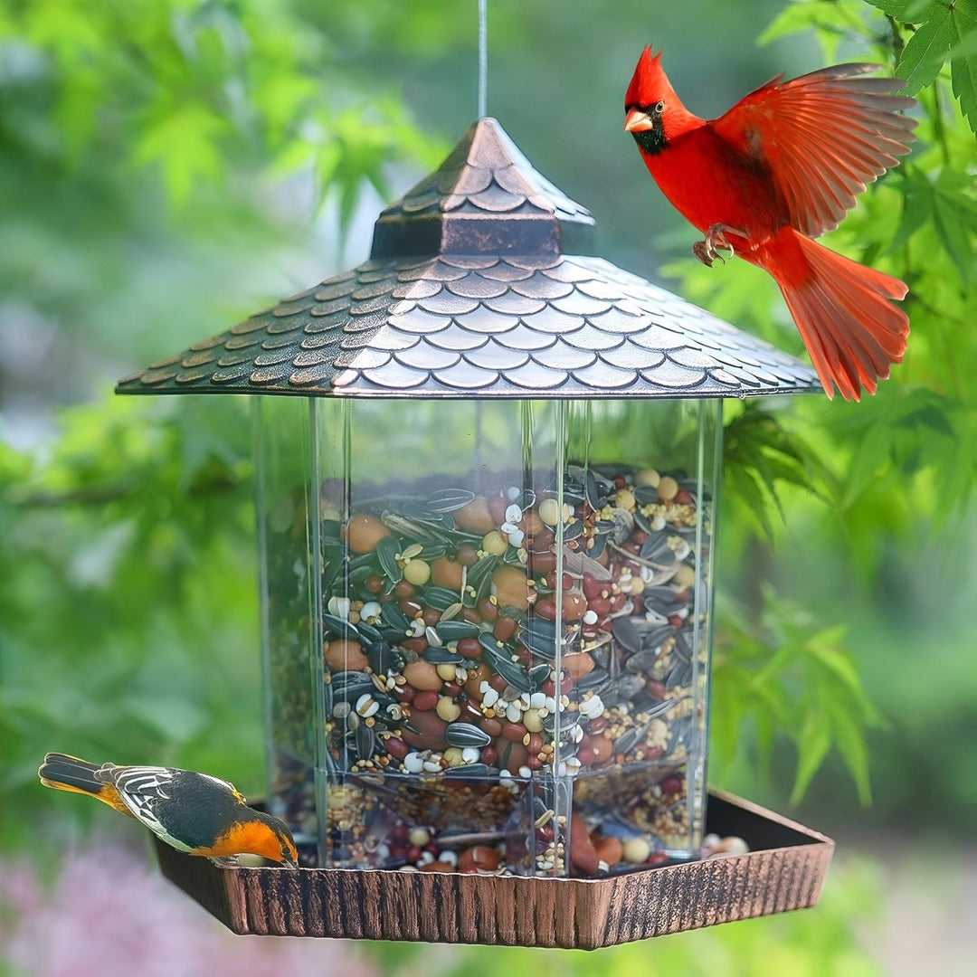 Distributeur de nourriture pour oiseaux au look cuivre élégant pour décoration suspendue résistant aux intempéries