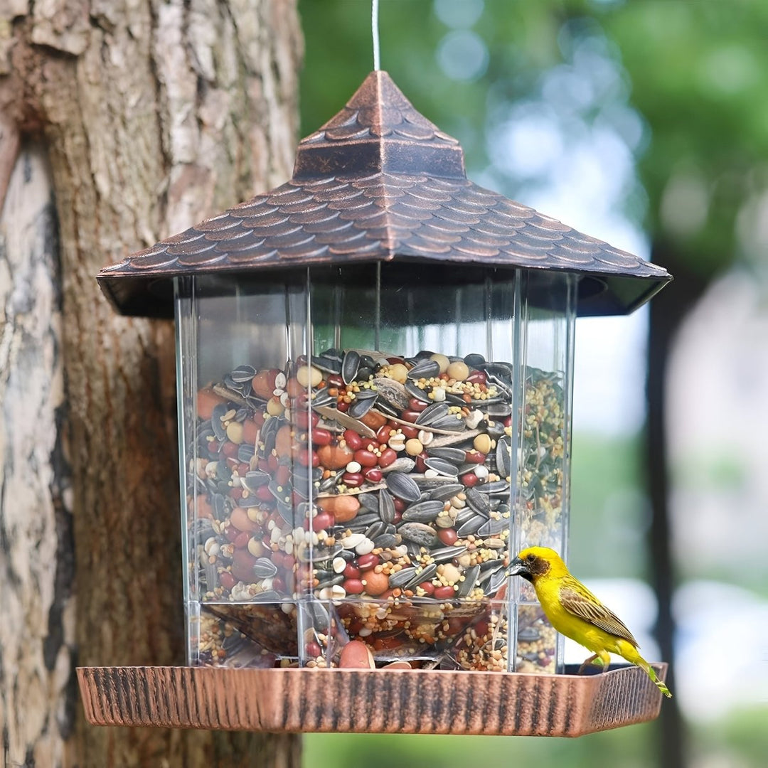 Distributeur de nourriture pour oiseaux au look cuivre élégant pour décoration suspendue résistant aux intempéries