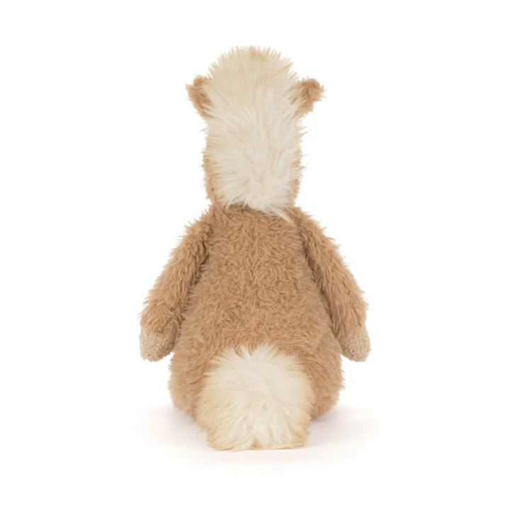 Poney Canterneigh