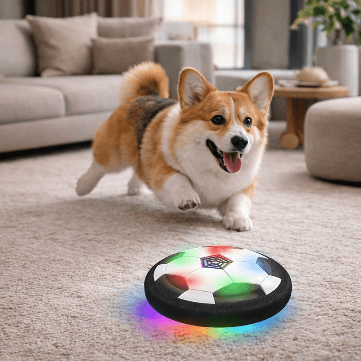 Balle de Jeu Interactive pour Chiens avec Mouvements Imprévisibles