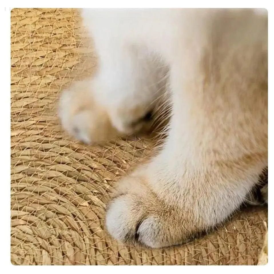 Lit pour chat ultra doux et confortable