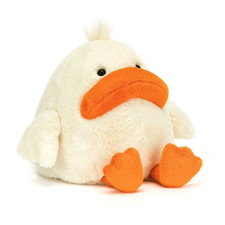 Canard Delia