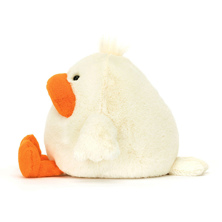 Canard Delia