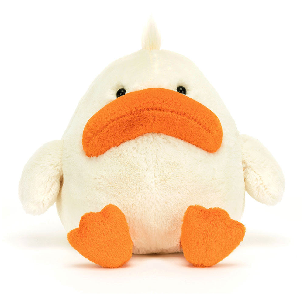 Canard Delia