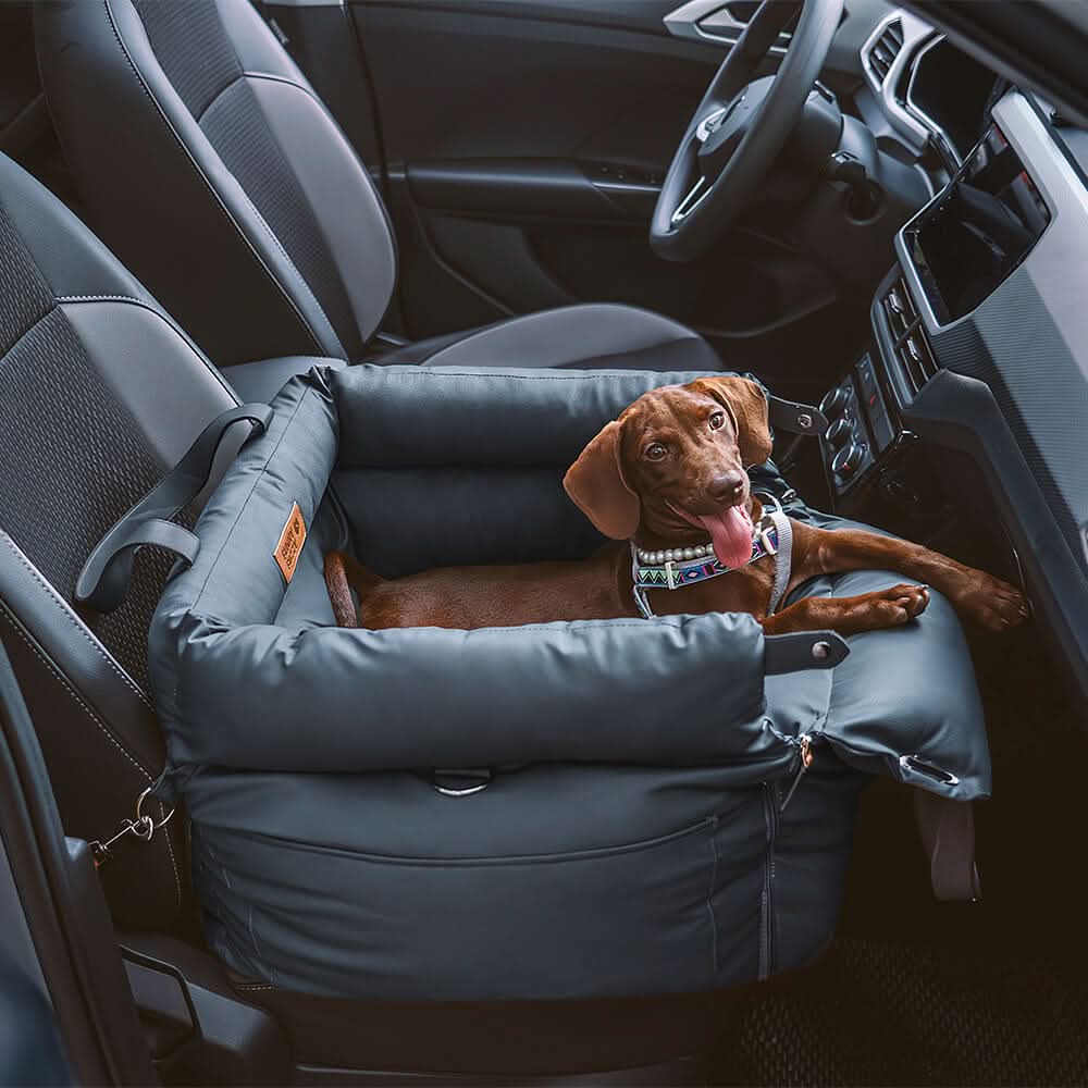Siège de voiture de luxe pour chien avec ceinture de sécurité pour des trajets élégants
