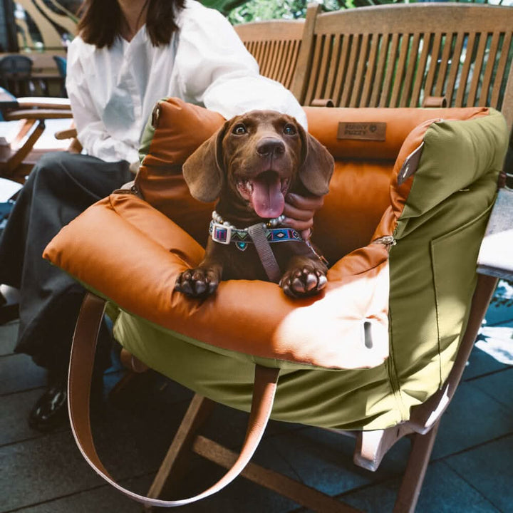 Siège de voiture de luxe pour chien avec ceinture de sécurité pour des trajets élégants