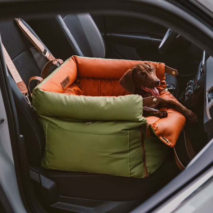 Siège de voiture de luxe pour chien avec ceinture de sécurité pour des trajets élégants