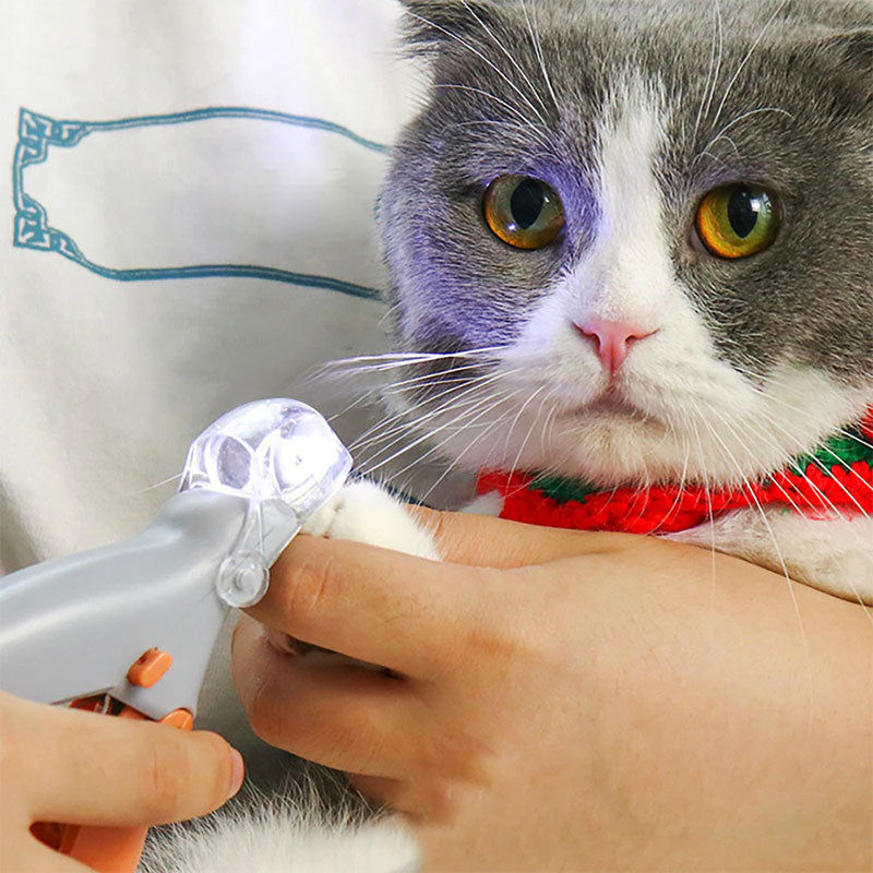 Ciseaux à Ongles Intelligents avec Capteurs Rapides pour Animaux