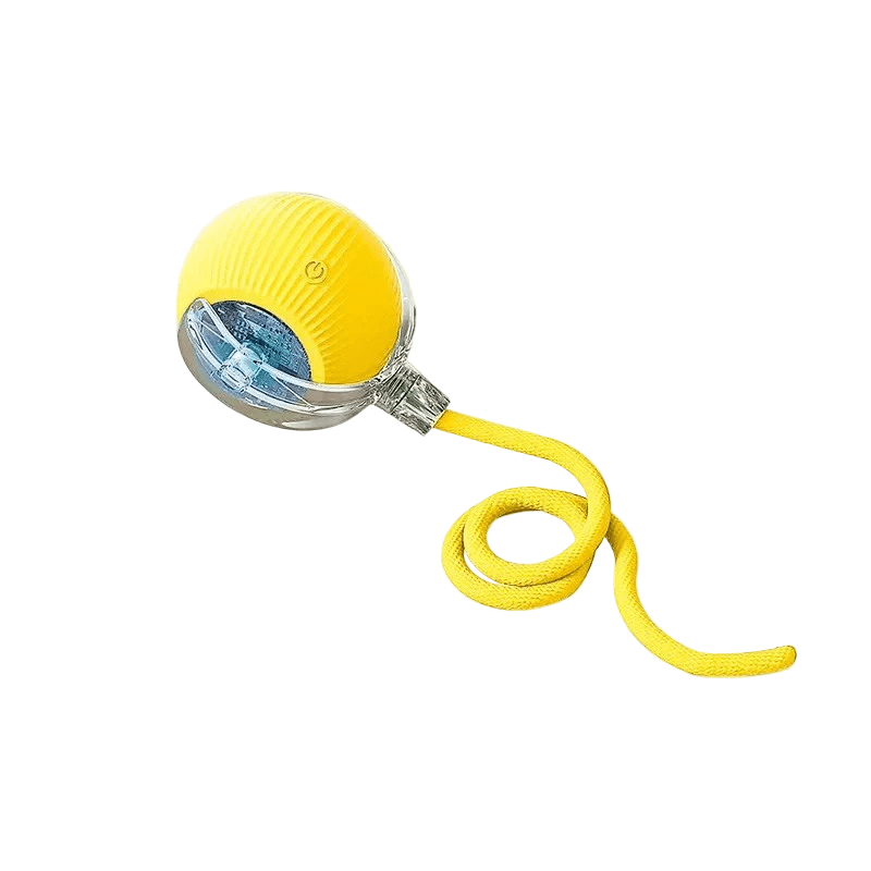 Balle Interactive Rechargeable pour Chien