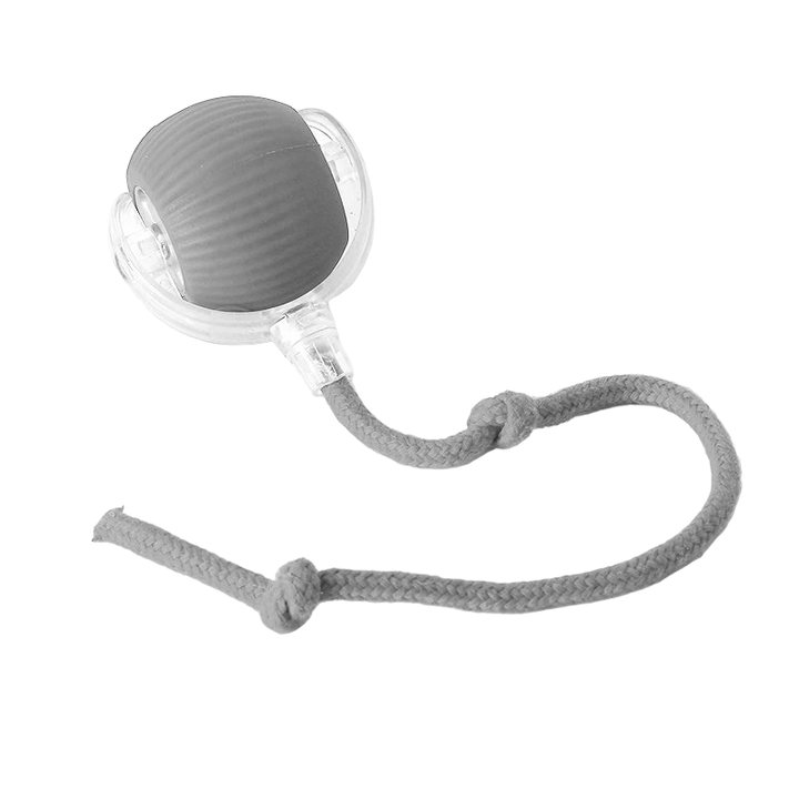 Balle Interactive Rechargeable pour Chien