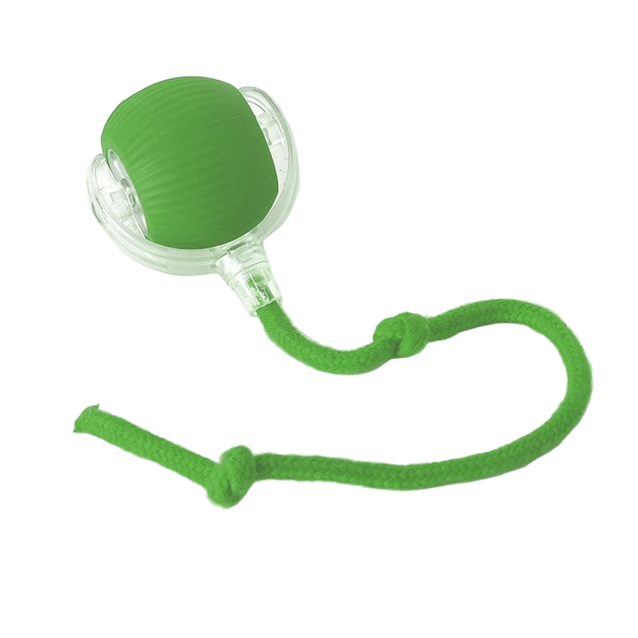 Balle Interactive Rechargeable pour Chien