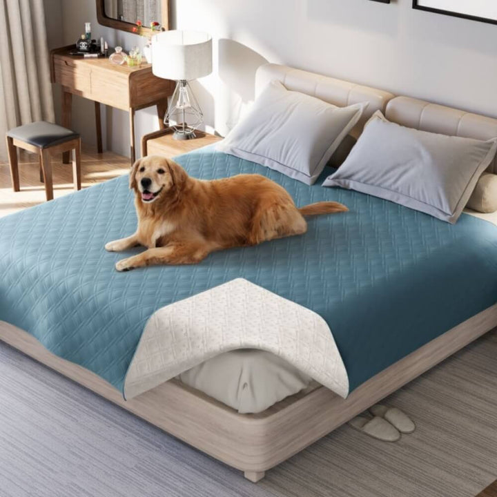Couverture pour Animaux de Compagnie Premium avec Design Imperméable pour Protection des Meubles