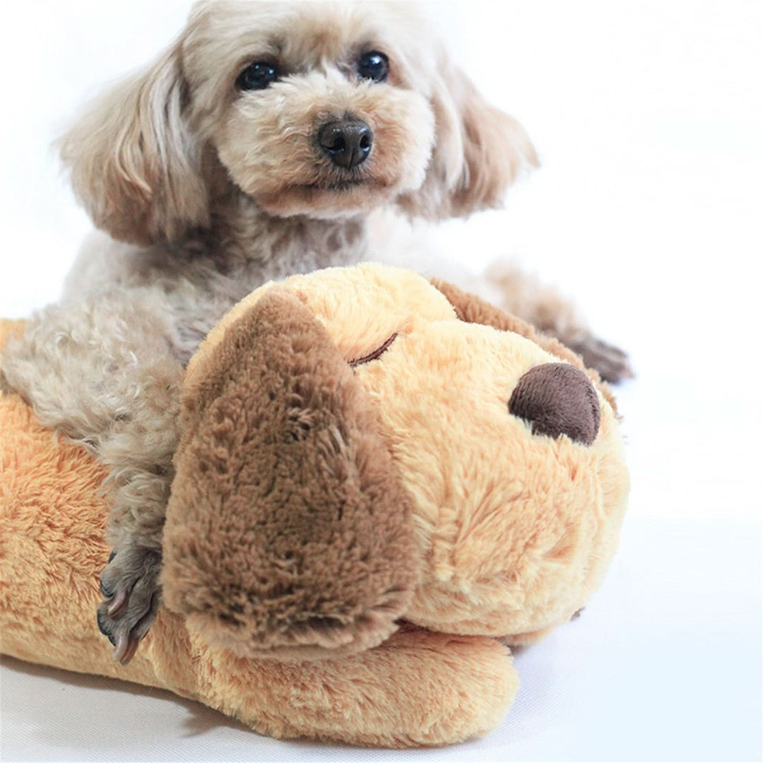 Jouet en Peluche Apaisant avec Battement de Cœur pour Chiots