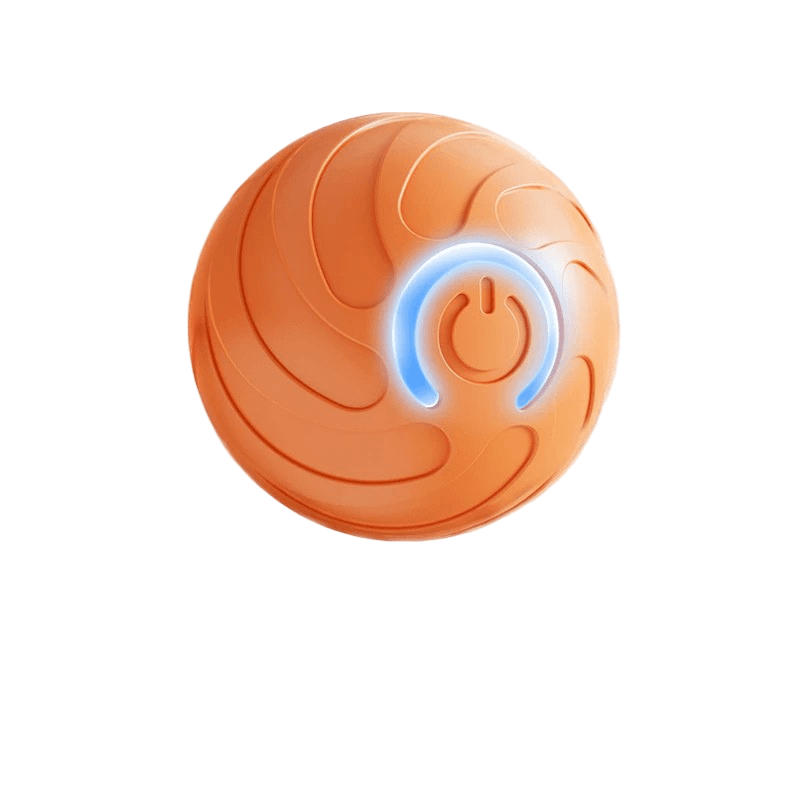 Balle Interactive Rechargeable pour Chien