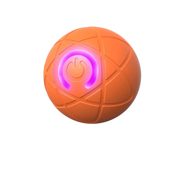 Balle Interactive Rechargeable pour Chien