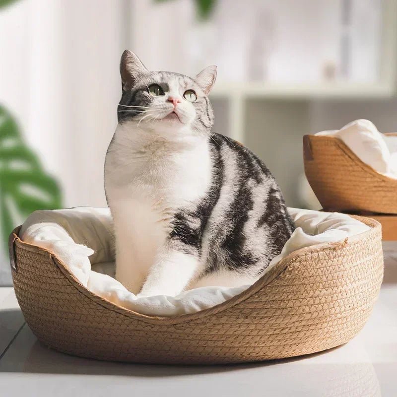 Canapé Écologique pour Chat avec Design en Coton Respirant