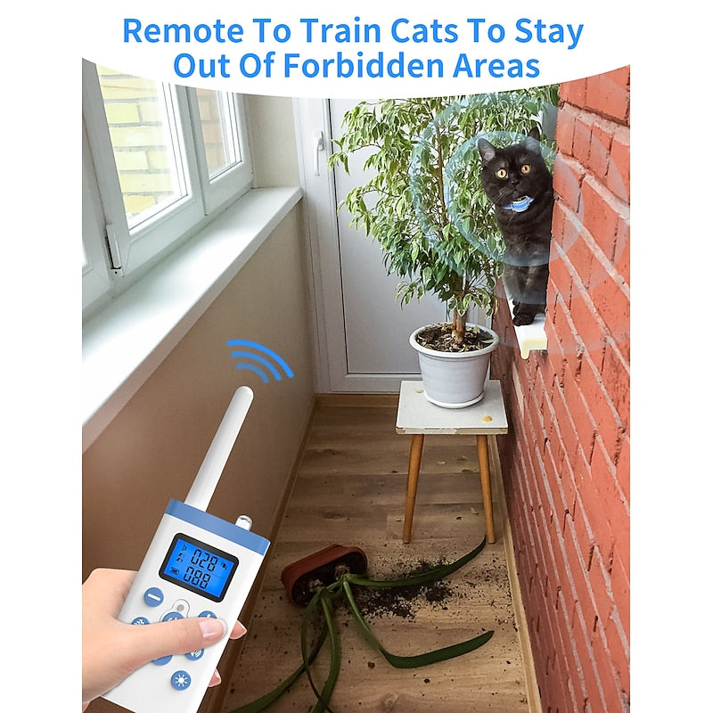 Collier de Dressage pour Chat avec Récepteur Télécommandé