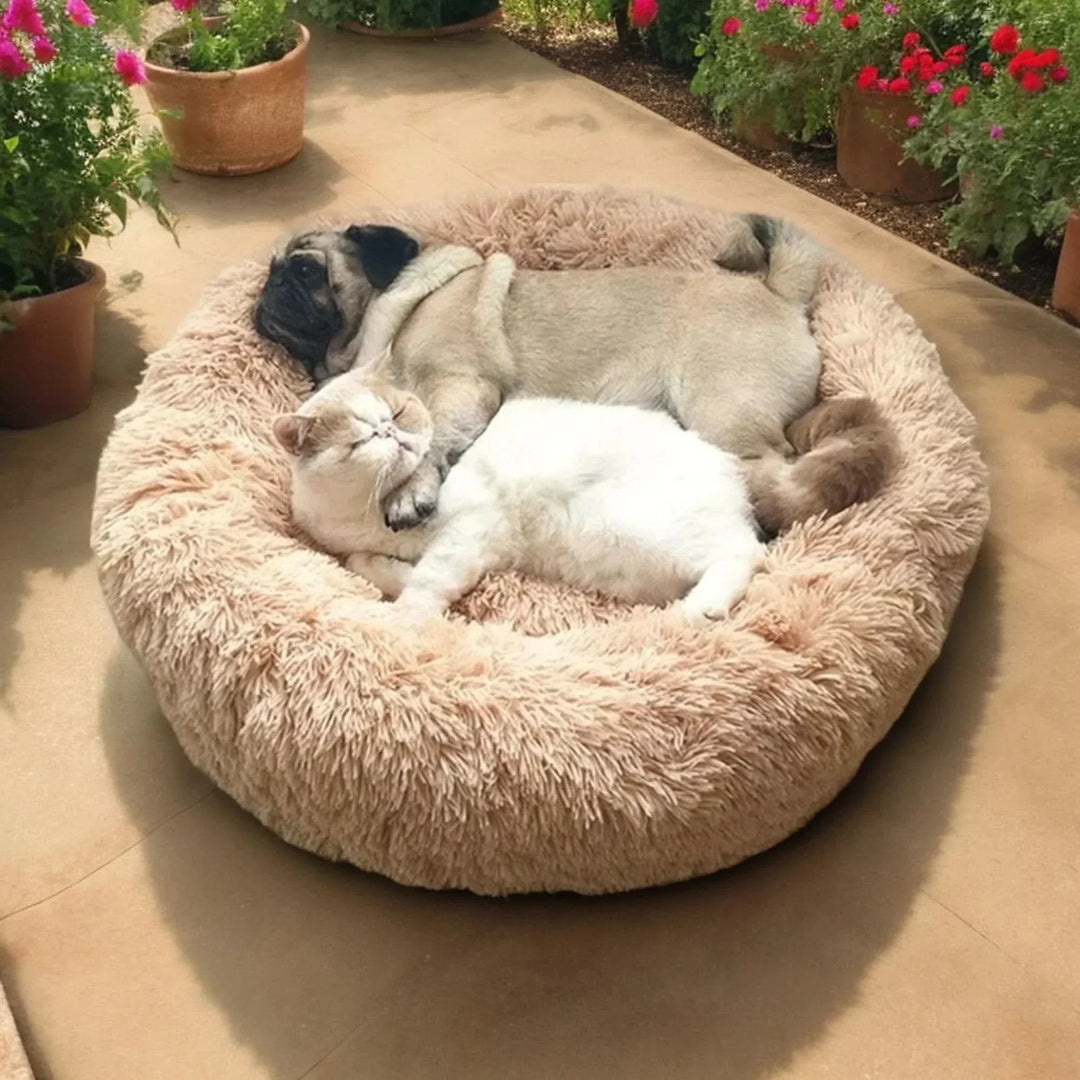 Lit pour chien ultra-doux pour un sommeil confortable et détendu