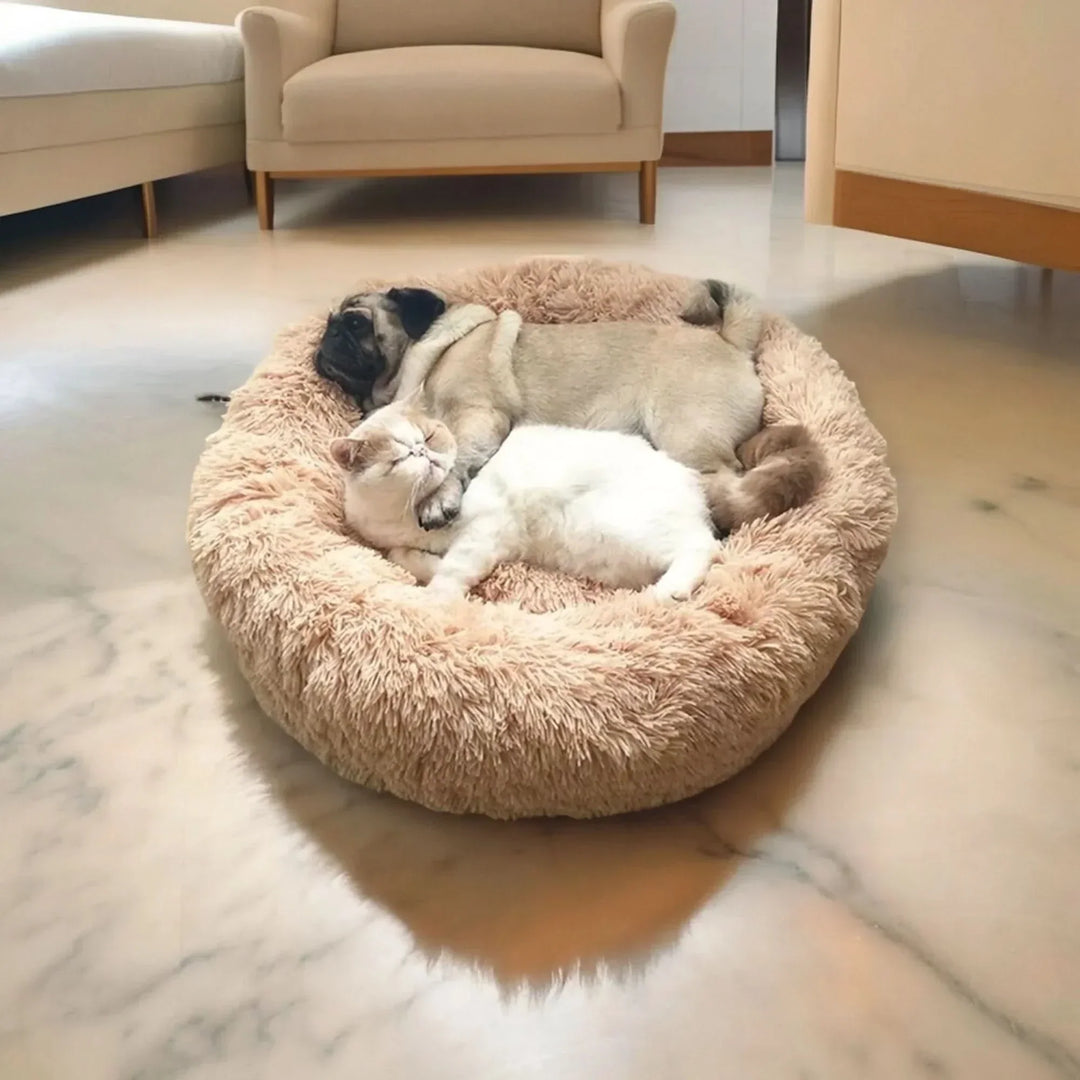 Lit pour chien ultra-doux pour un sommeil confortable et détendu