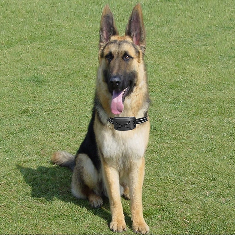 Système de clôture sans fil pour chien avec collier, 9–240m