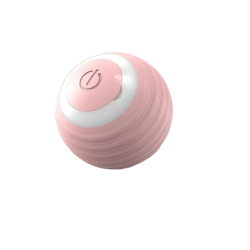 Balle Interactive Rechargeable pour Chien