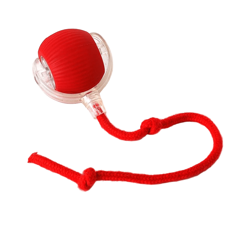Balle Interactive Rechargeable pour Chien