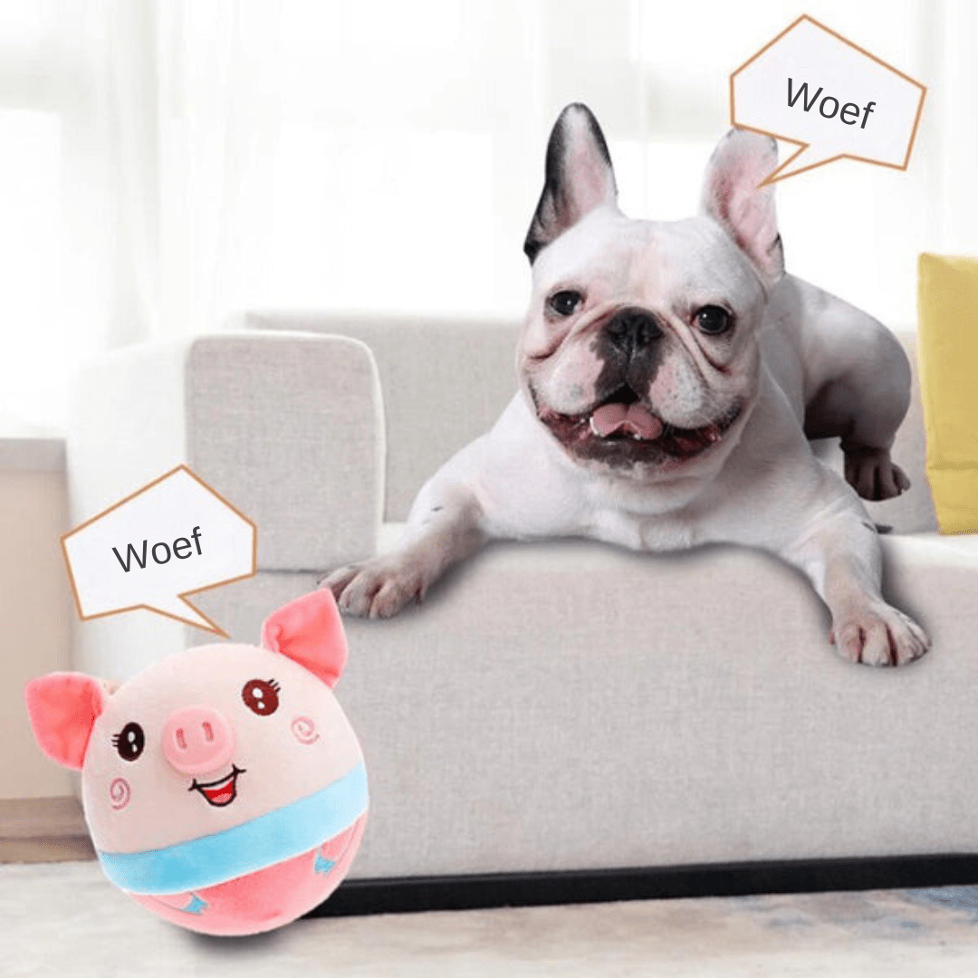 Balle en Mouvement pour Chiens Malins et Actifs