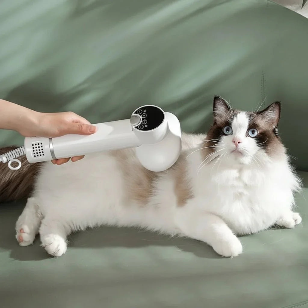 Sèche-cheveux à technologie ionique pour animaux de compagnie