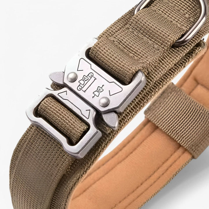 Collier pour Chien Réglable et Durable – Idéal pour l'Entraînement et l'Utilisation Quotidienne