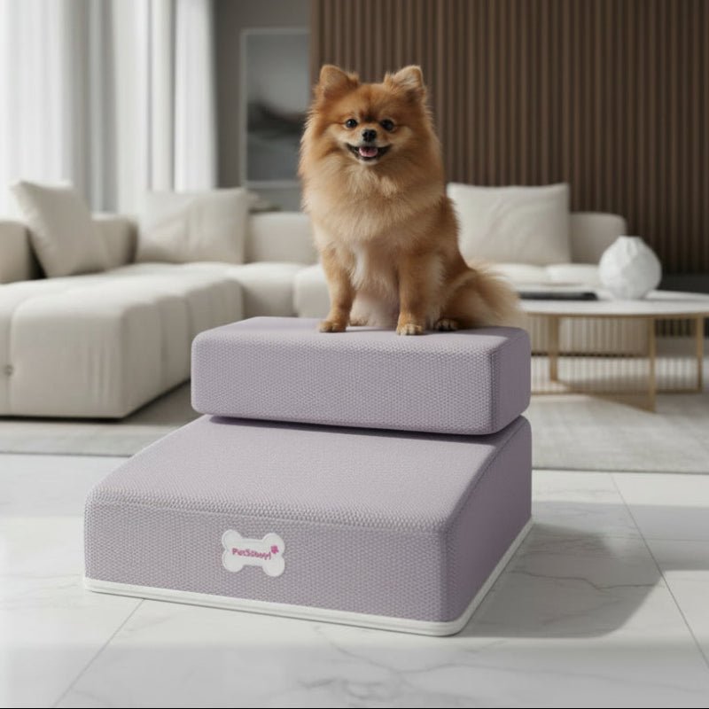 Escaliers de Luxe Premium pour Chiens pour un Accès Sûr au Canapé et au Lit