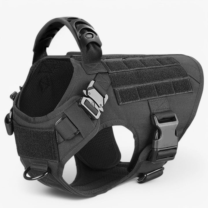 Harnais de Chien Durable pour un Contrôle et un Confort Optimaux