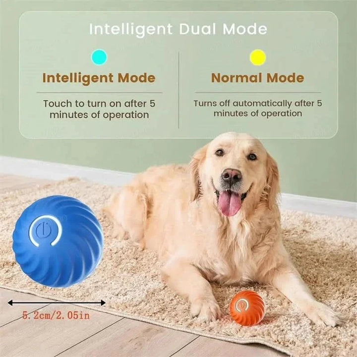 Balle Interactive Rechargeable pour Chien