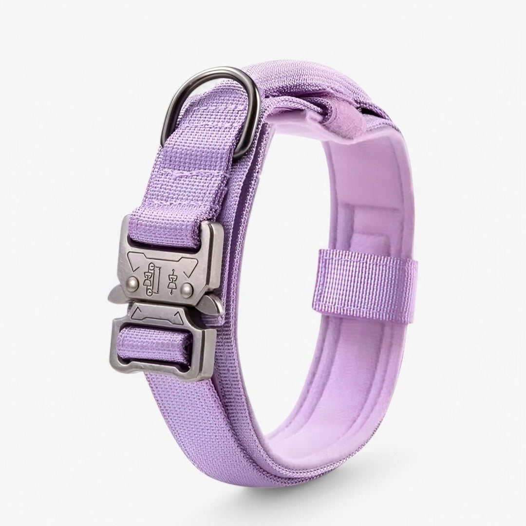 Collier pour Chien Réglable et Durable – Idéal pour l'Entraînement et l'Utilisation Quotidienne