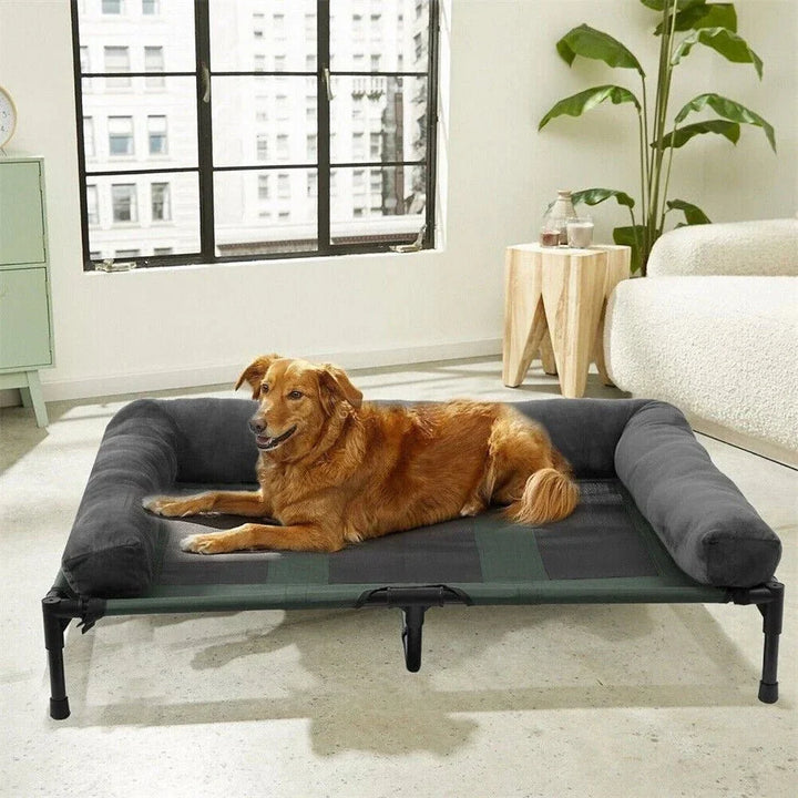 Lit surélevé pour chien pour jardin et usage extérieur
