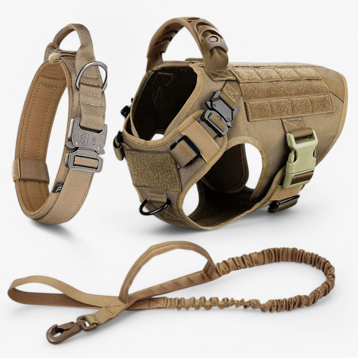 Harnais de Chien Durable pour un Contrôle et un Confort Optimaux