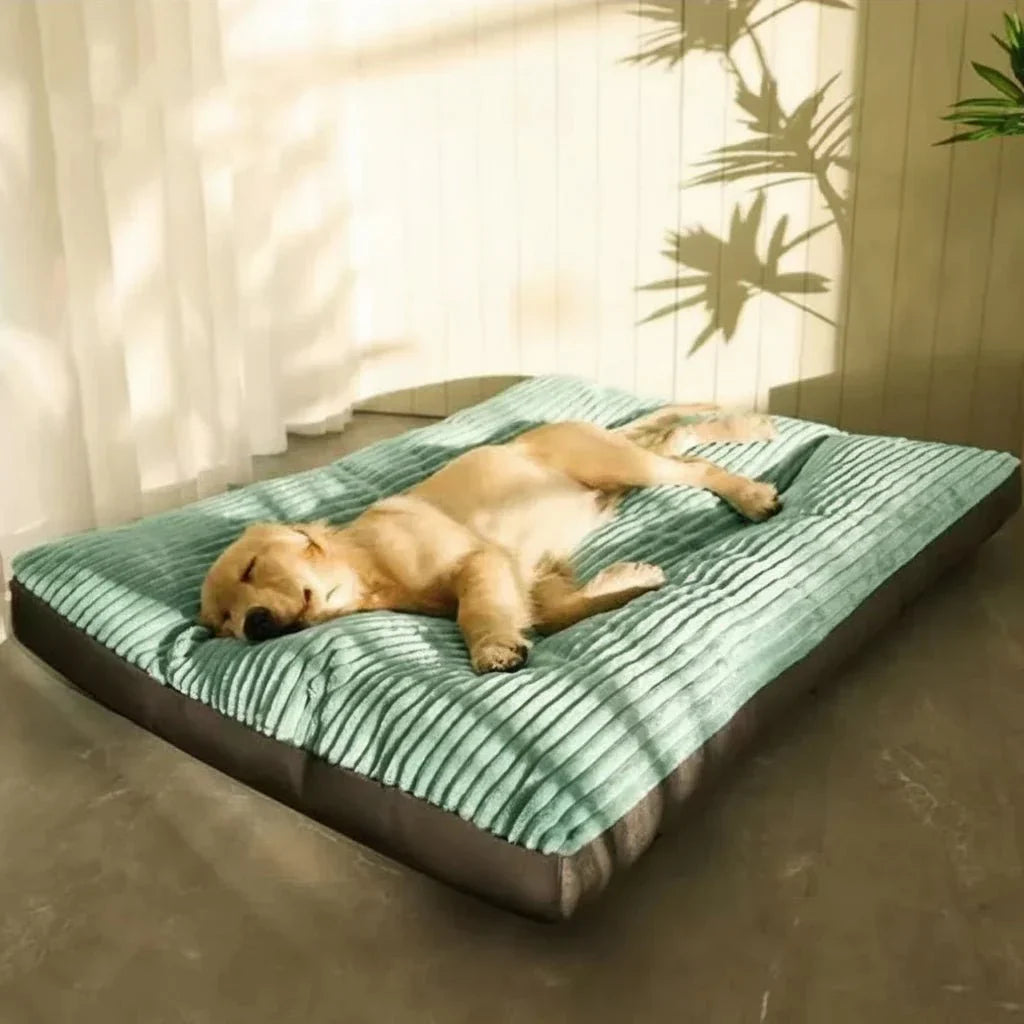 Lit Confort Douillet pour Chiens