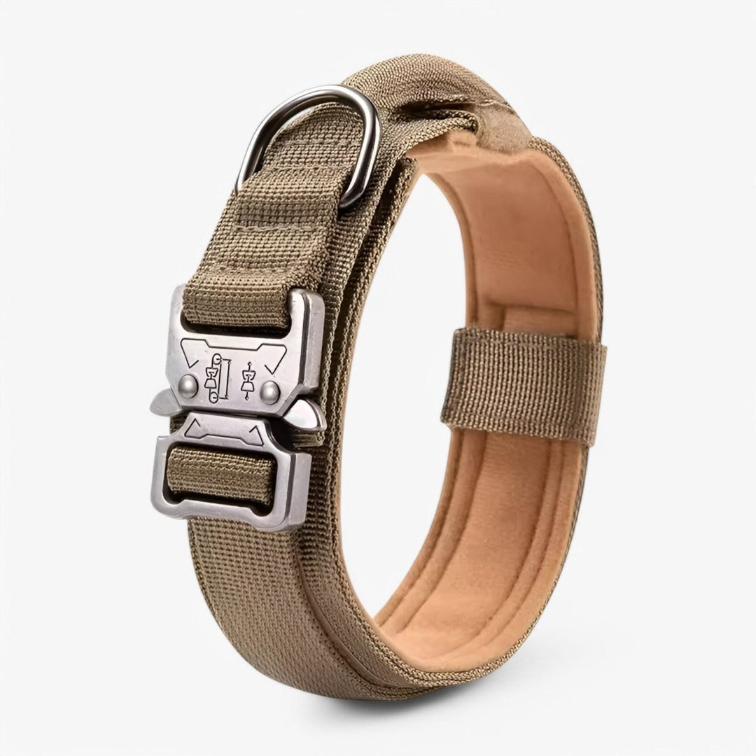 Collier pour Chien Réglable et Durable – Idéal pour l'Entraînement et l'Utilisation Quotidienne