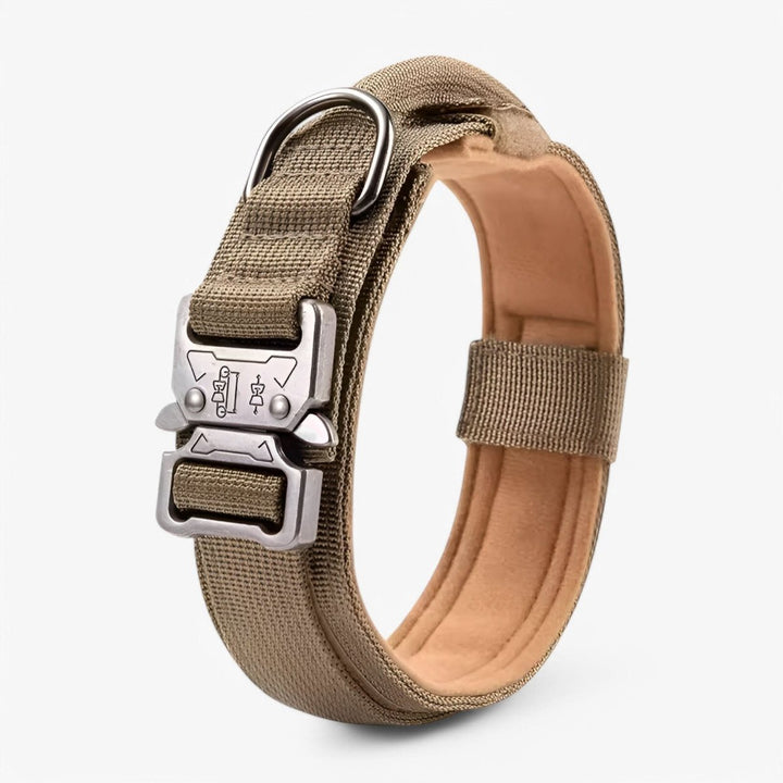 Collier pour Chien Réglable et Durable – Idéal pour l'Entraînement et l'Utilisation Quotidienne