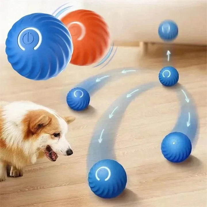 Balle Interactive Rechargeable pour Chien