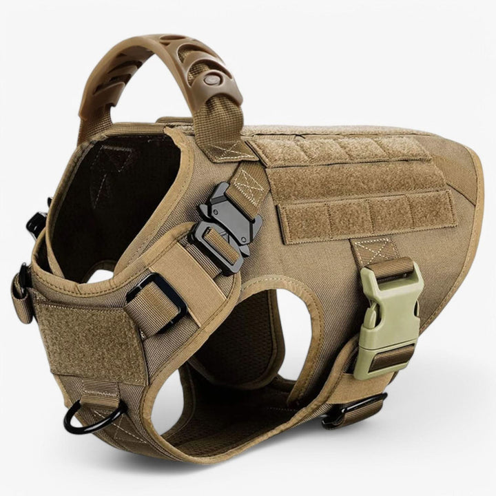Harnais de Chien Durable pour un Contrôle et un Confort Optimaux