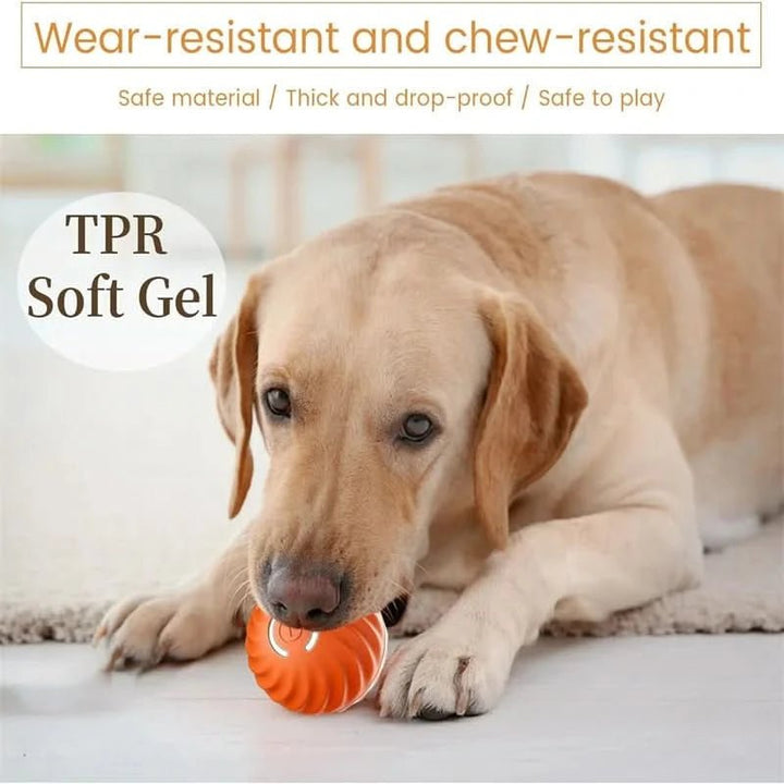Balle Interactive Rechargeable pour Chien