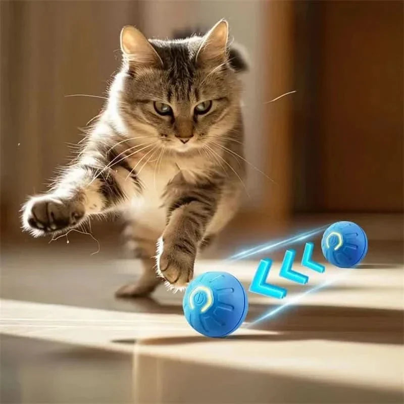 Balle Interactive Rechargeable pour Chien