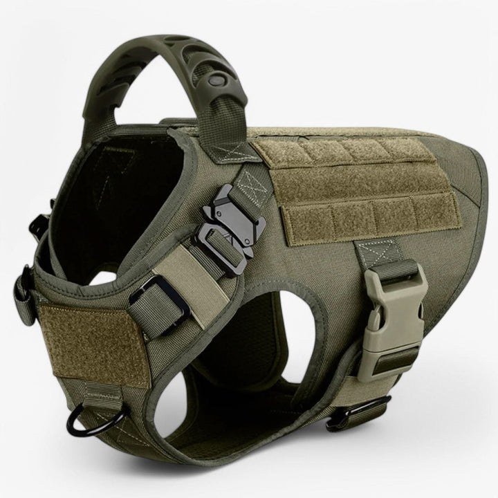 Harnais de Chien Durable pour un Contrôle et un Confort Optimaux