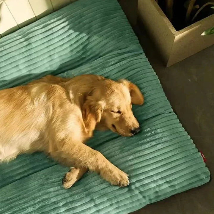 Lit Confort Douillet pour Chiens