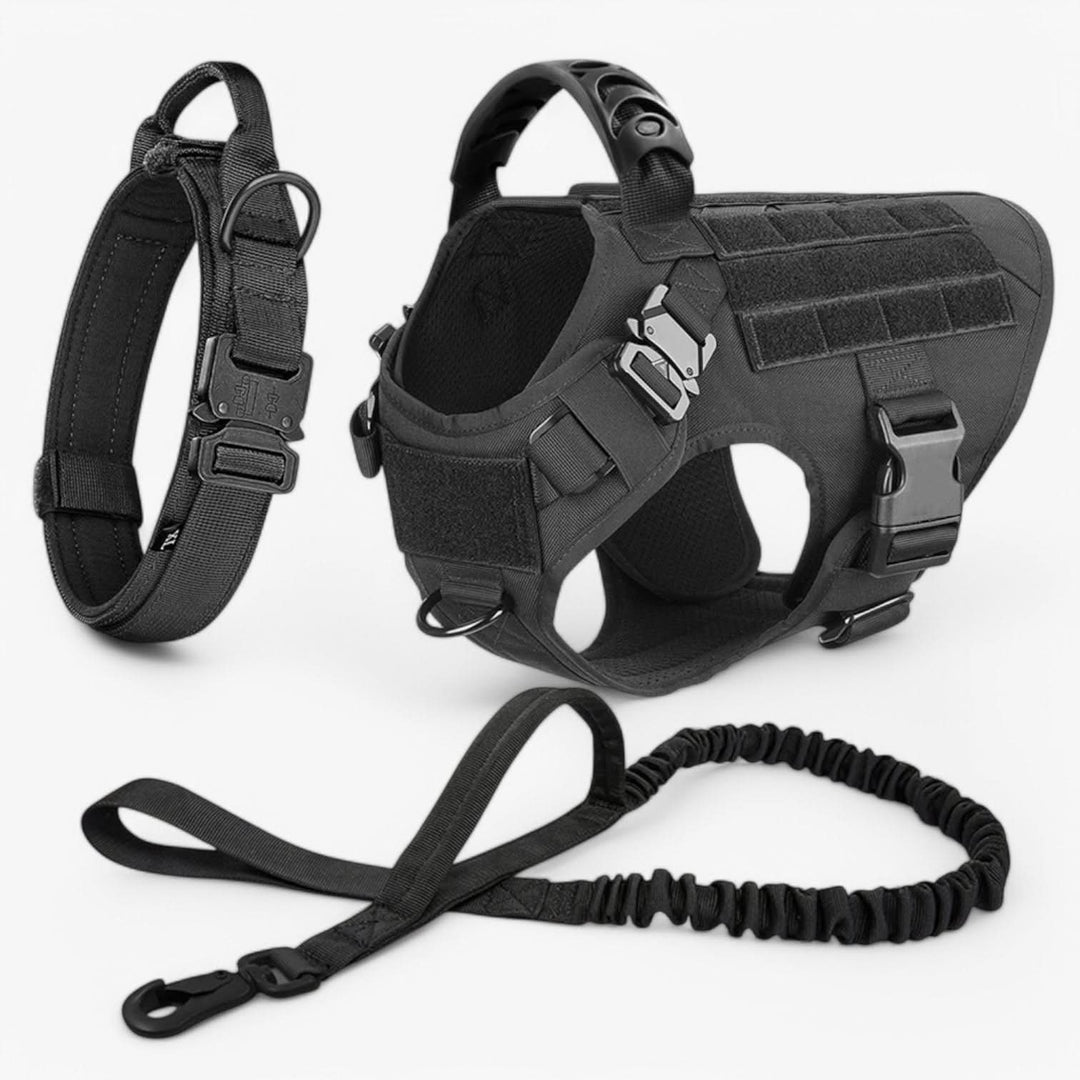 Harnais de Chien Durable pour un Contrôle et un Confort Optimaux
