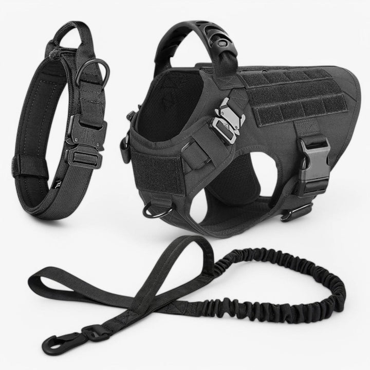 Harnais de Chien Durable pour un Contrôle et un Confort Optimaux