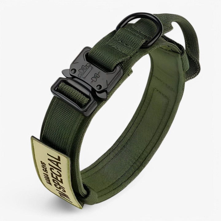 Collier pour Chien Réglable et Durable – Idéal pour l'Entraînement et l'Utilisation Quotidienne