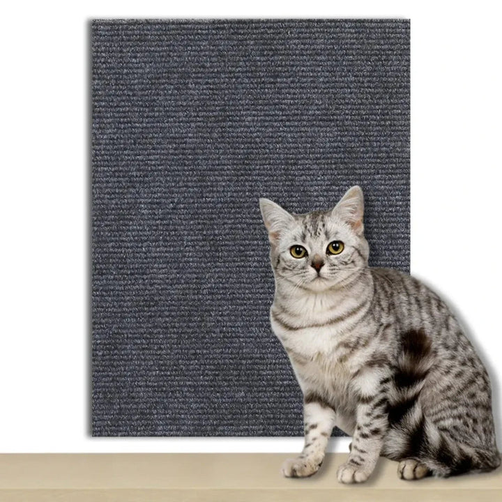 Plaque de Protection Auto-adhésive pour Chats pour Protéger les Meubles, Murs et Tapis